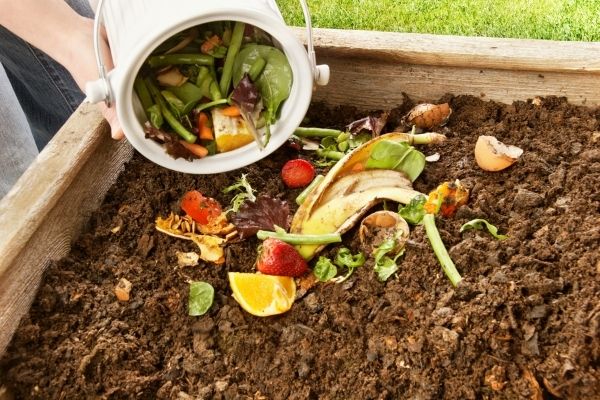 Compost Food Scraps