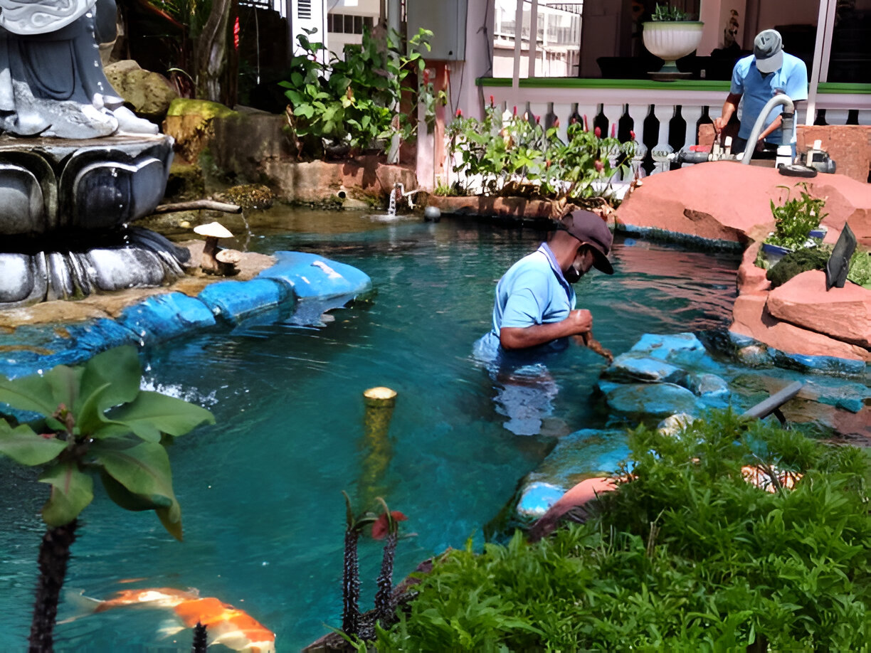 koi pond drum filter