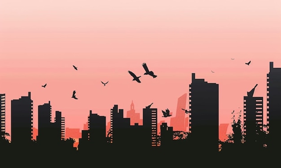 Industrial-Bird-Control